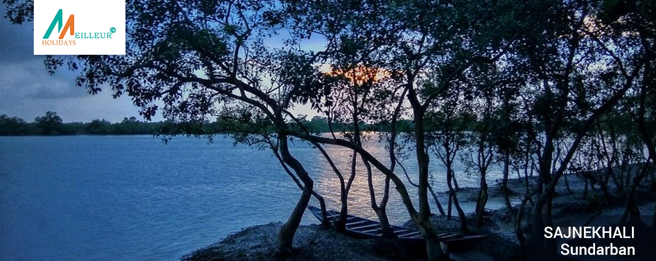 04_Sajnekhali_Sundarban-Tour-Package