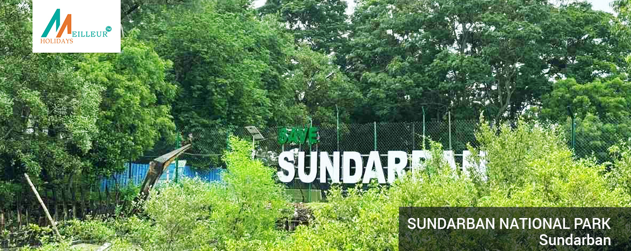 05_sundarban-national-park_Sundarban-Tour-Package