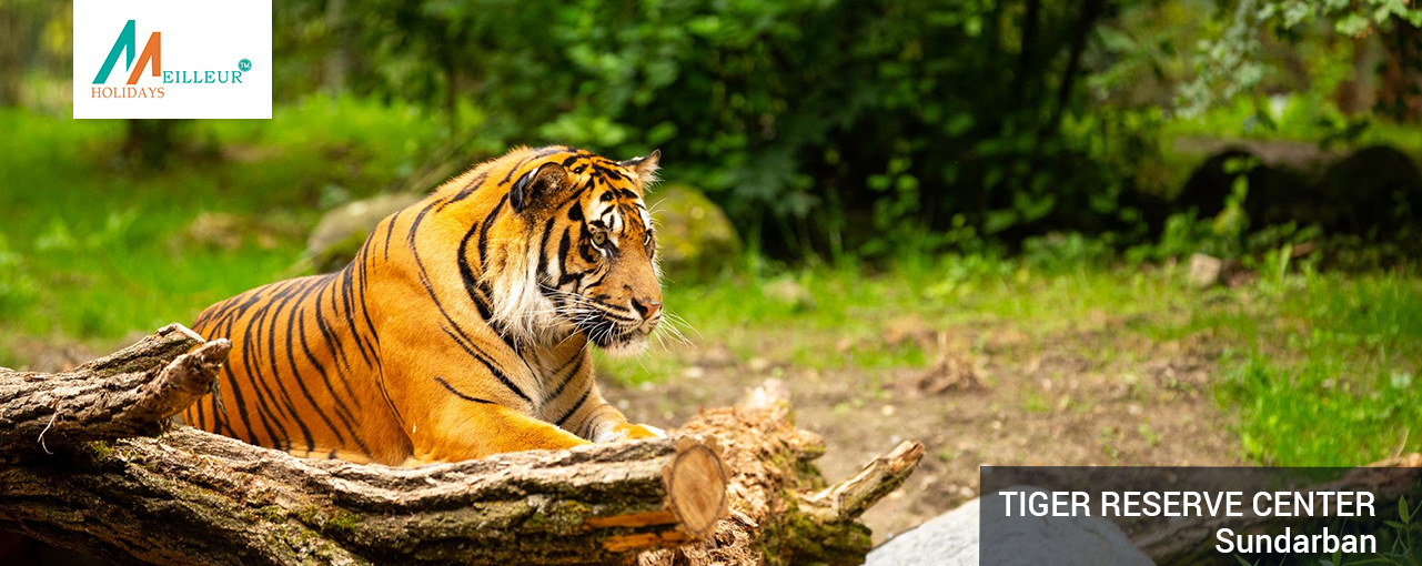 06_tiger-reserve-center_Sundarban-Tour-Package